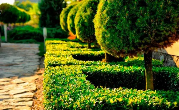 Landscape Design Benefits