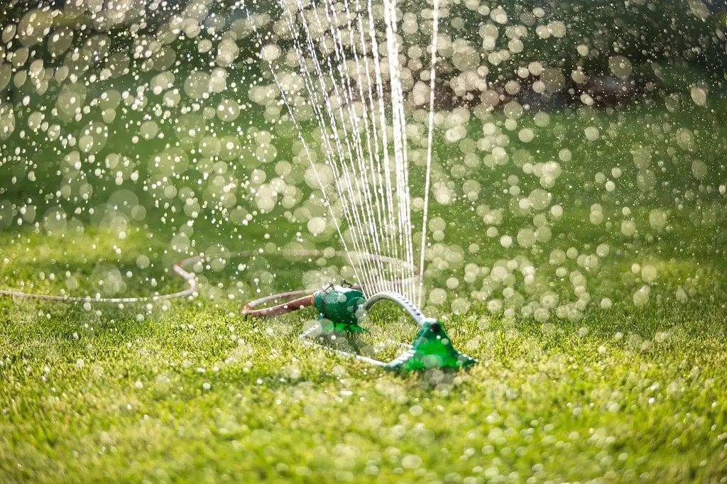 Lawn Watering Guide