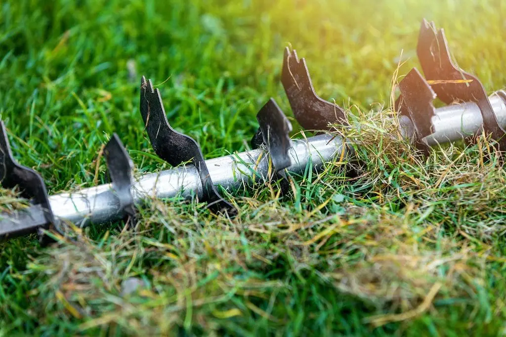 Lawn Aeration for Green Grass