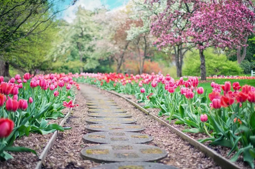 Use Borders to Organize Your Landscape