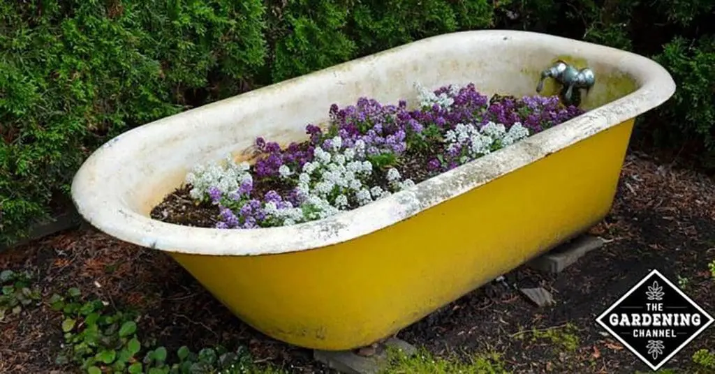 Old Bathtub as a Planter