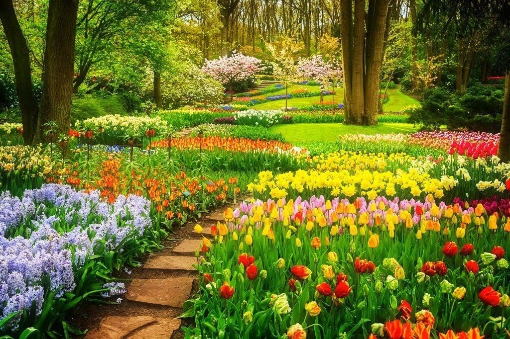 landscaping with seasonal colored flowers