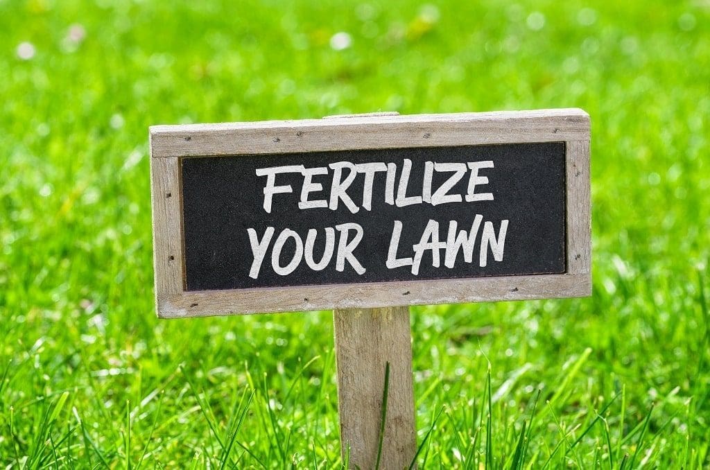 fertilize your lawn