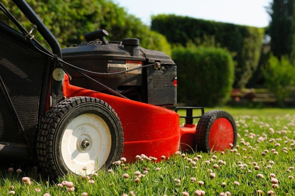 Lawn Maintenance Tips for Commercial Property Managers