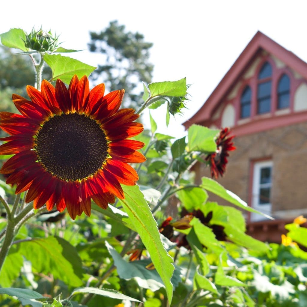 Allen Centennial Gardens in Wisconsin