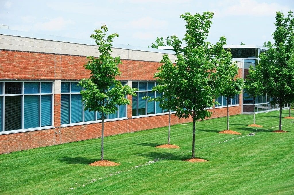 Trees Commercial Property