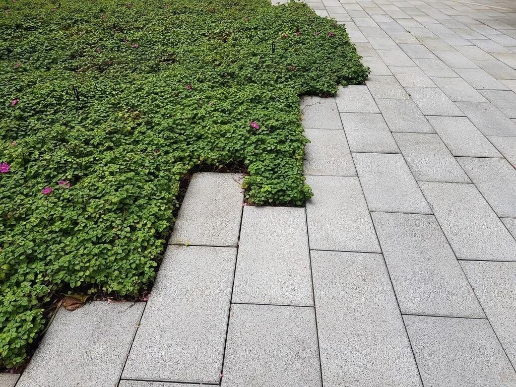 Hardscapes Commercial Property