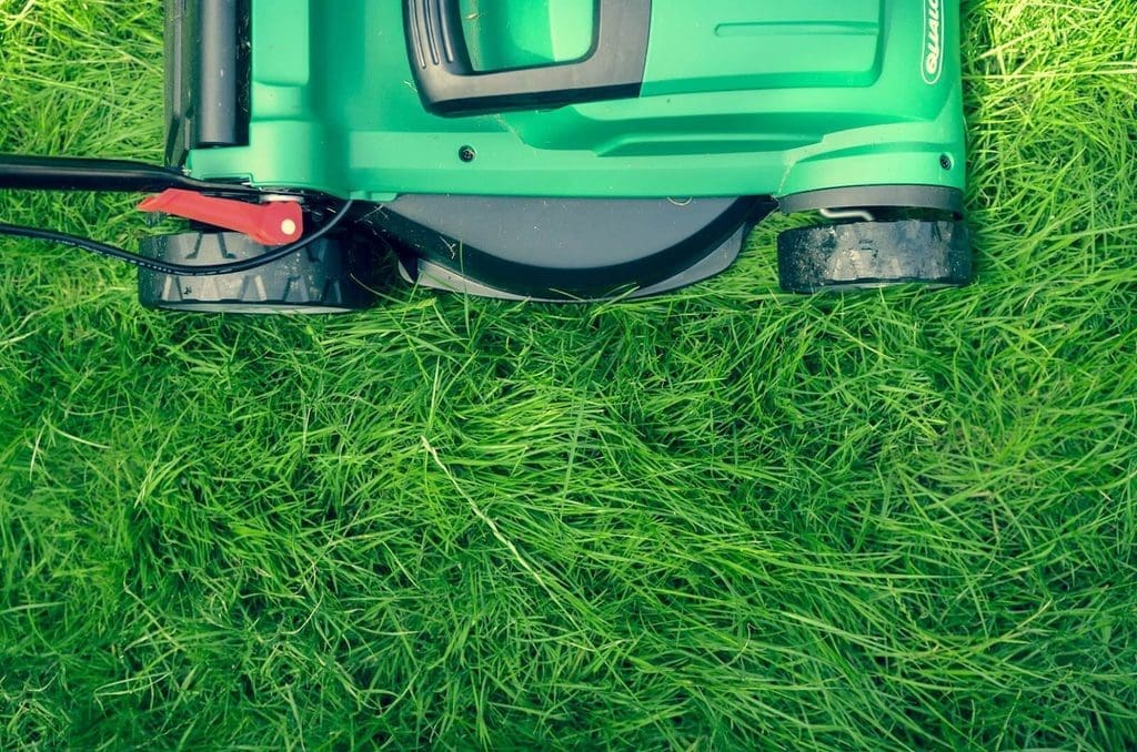 Lawn mower getting in a final mow in the fall season.