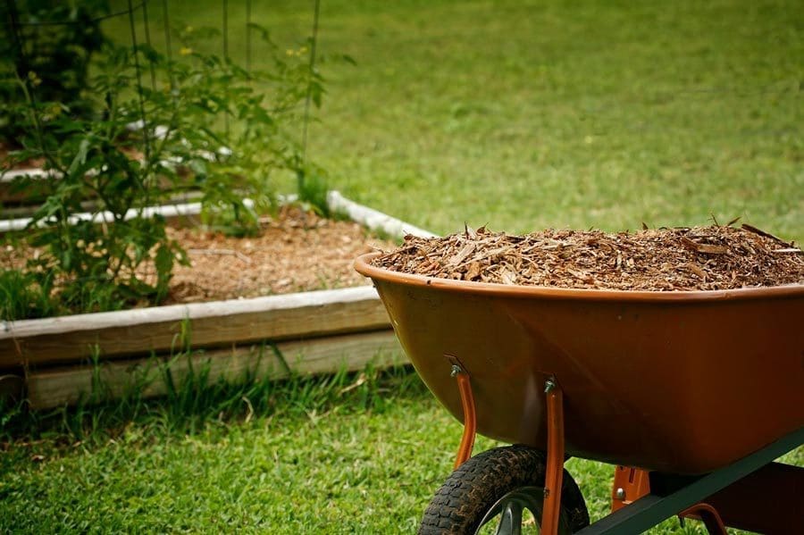 Garden Mulch Advantages and Disadvantages