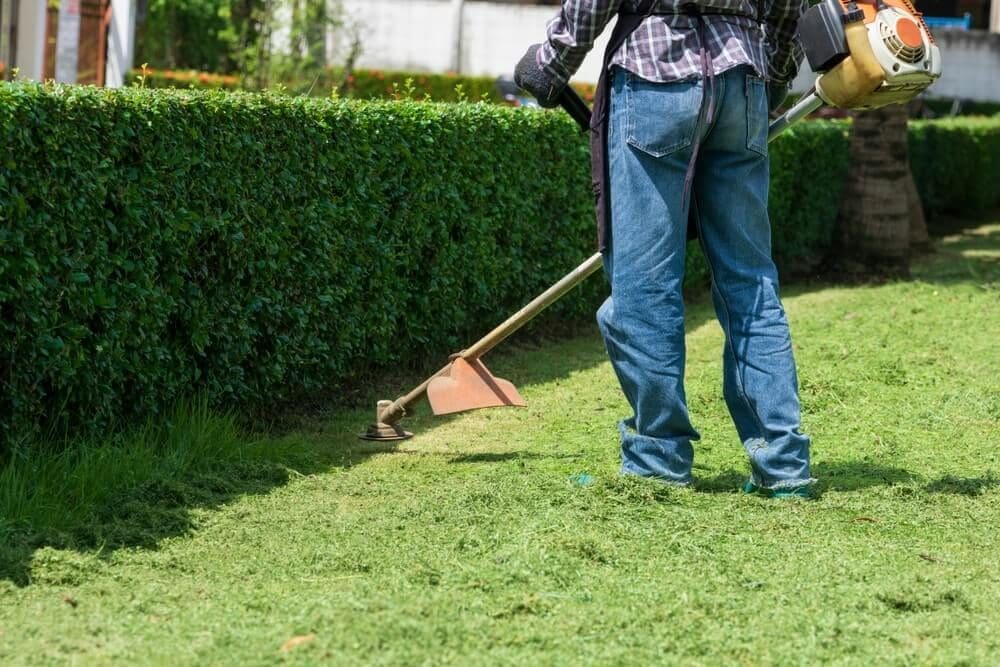 DIY Lawn Care Pros