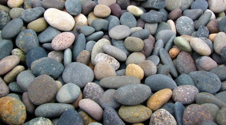 Beach pebbles as a landscaping rock