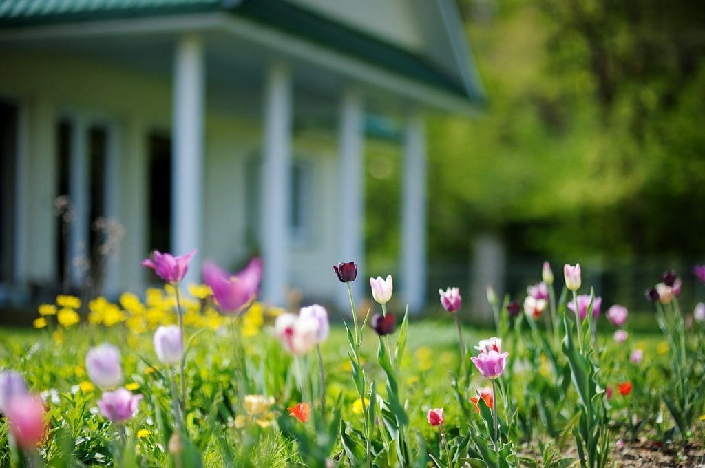 Improving Your Landscape This Spring Inspiration Ideas