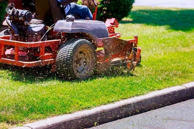 What is Lawn Maintenance