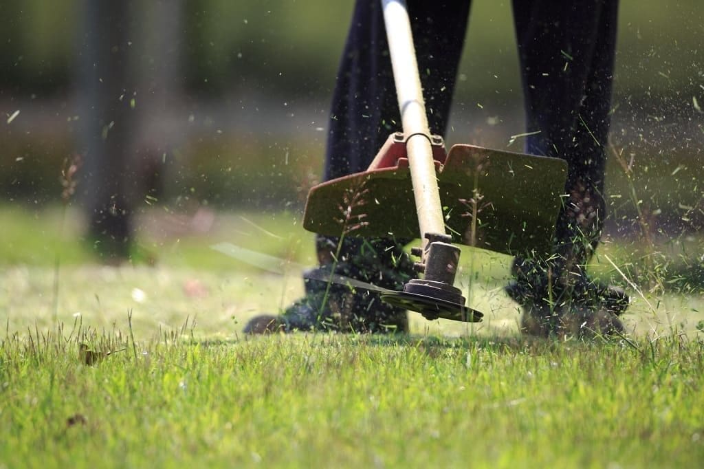 The Difference between Lawn Care and Maintenance