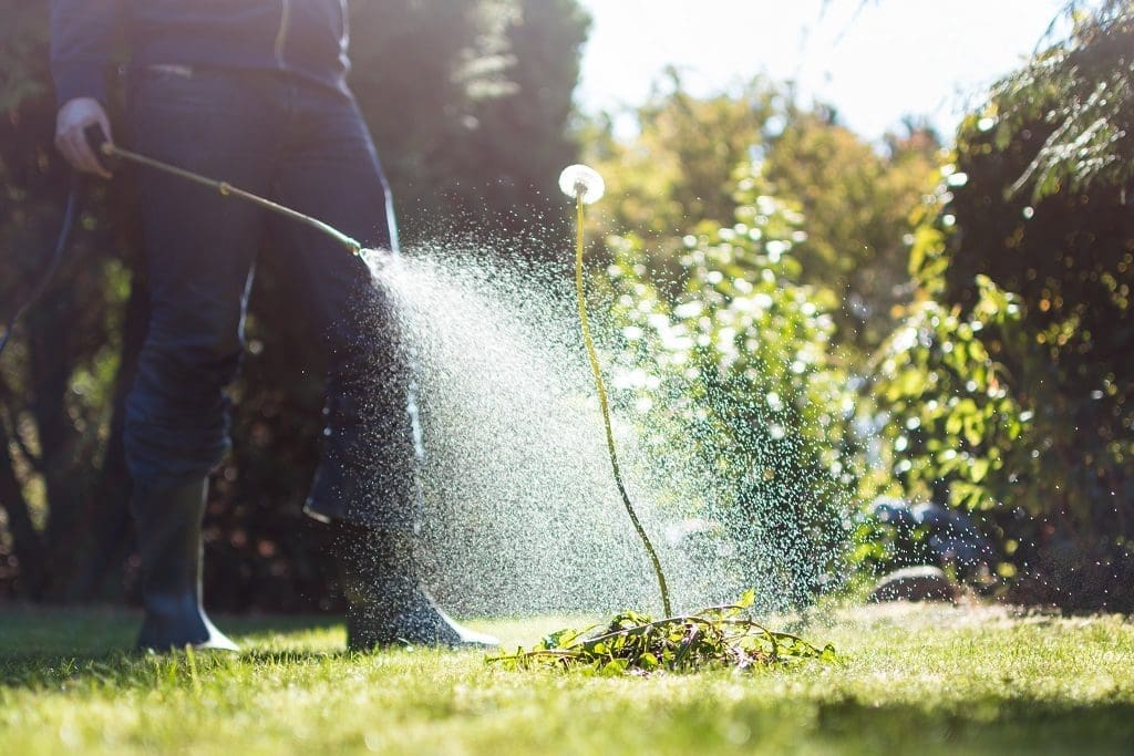 Herbicide Use for Weeds