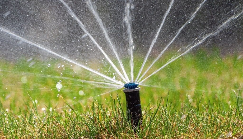 Mistakes when Lawn Watering
