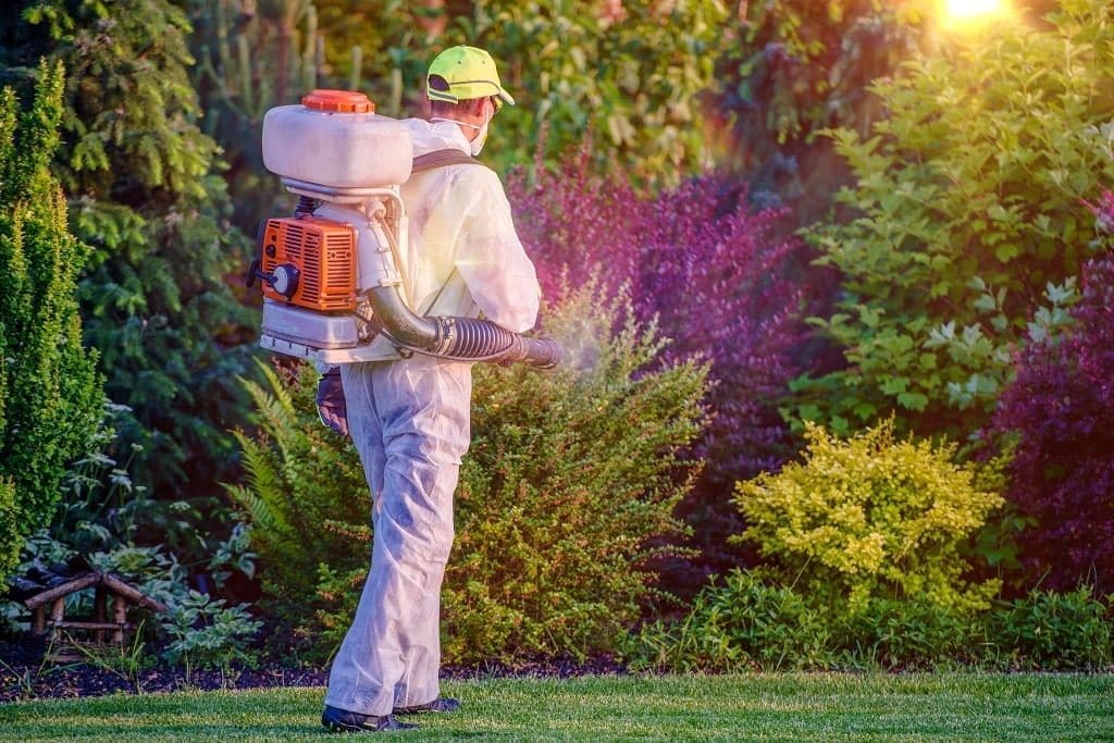 Lawn Pest Control Reasons