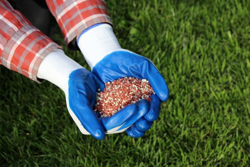 How to Fix Salt Damage to Lawn