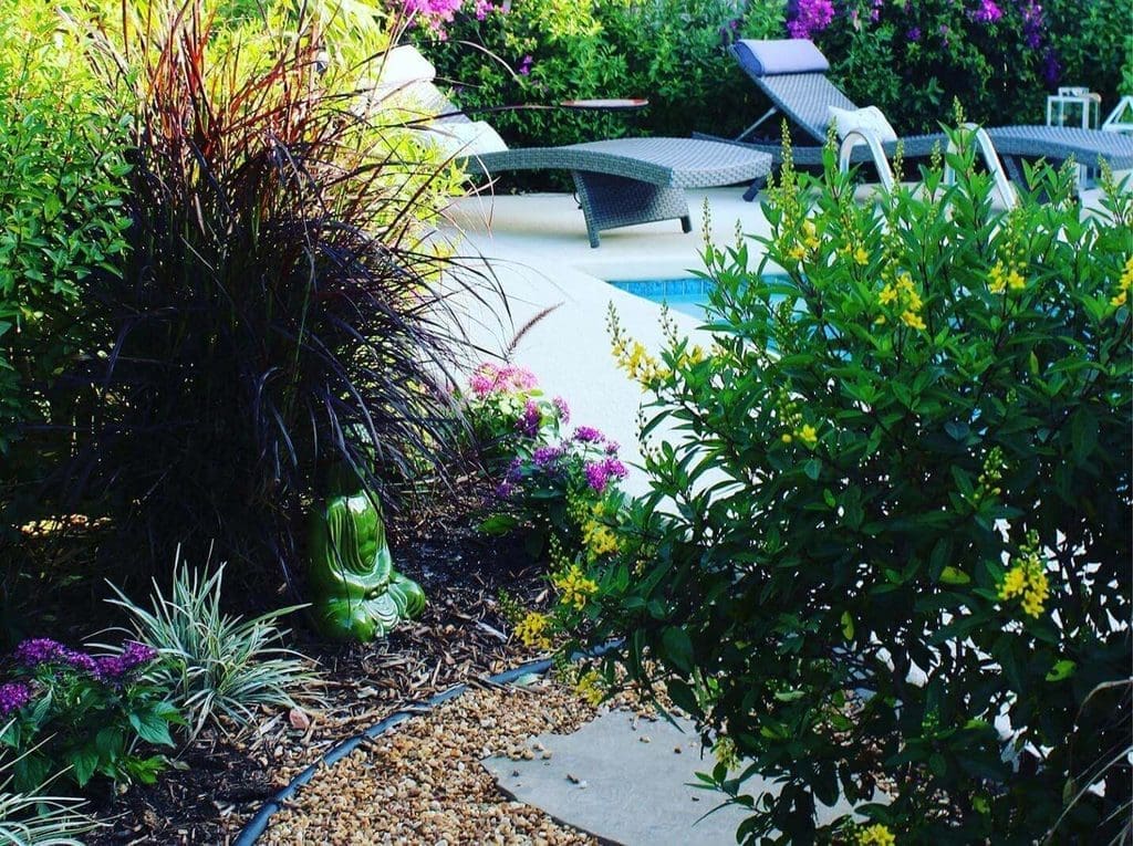 Consider Xeriscaping