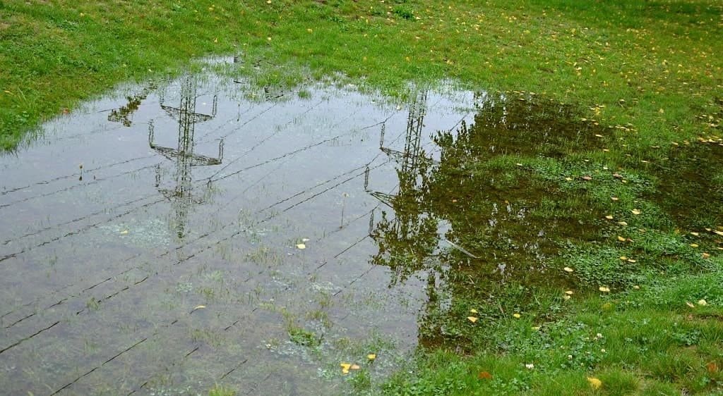 puddle at the summer cottage