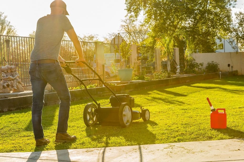 Cool season lawn care in summer