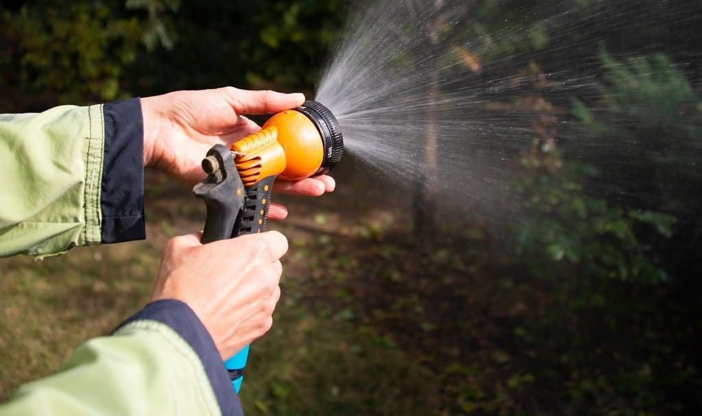 Cool season lawn care in fall