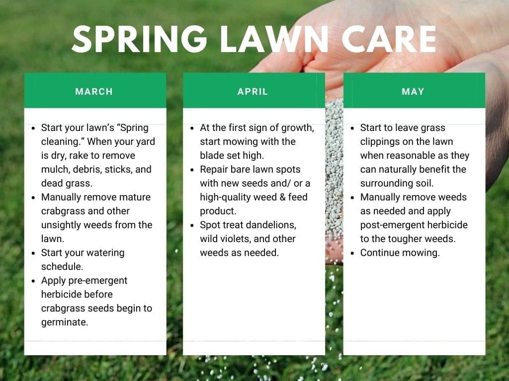 Month-by-Month Wisconsin & Midwest Lawn Care Calendar