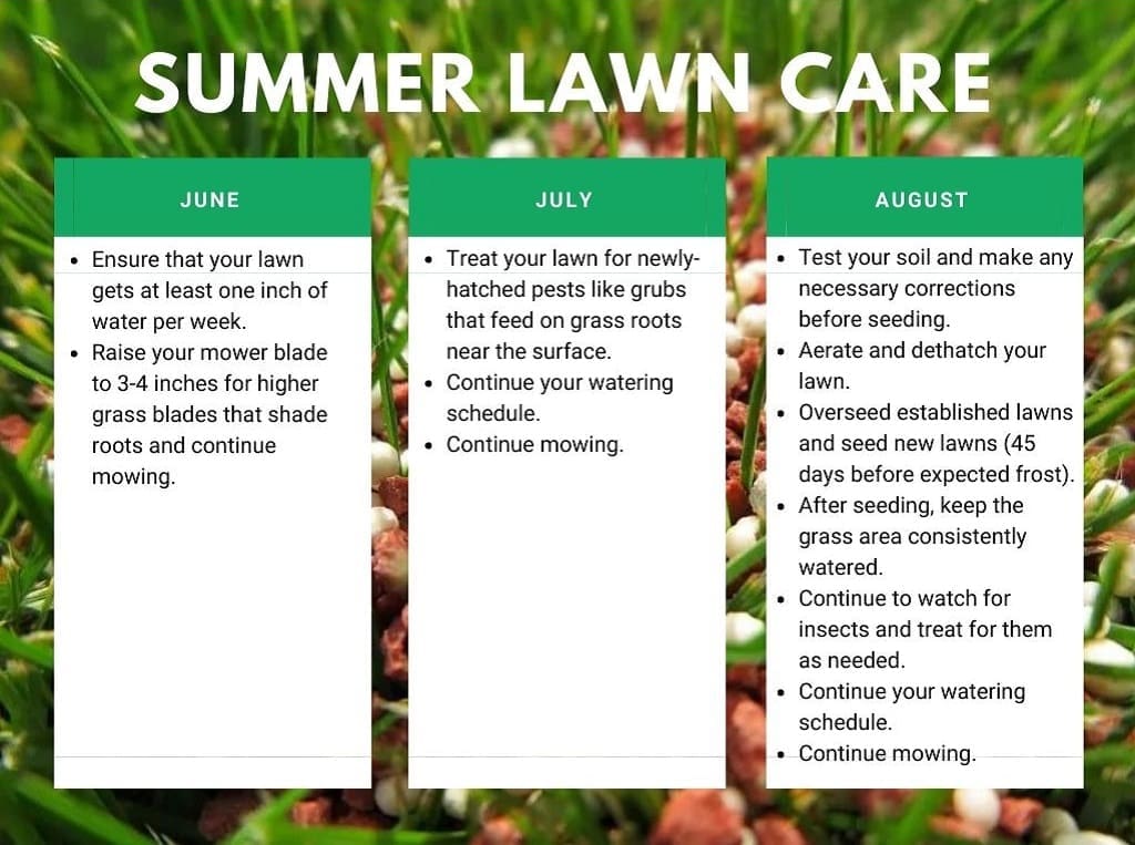 Summer Lawn Care