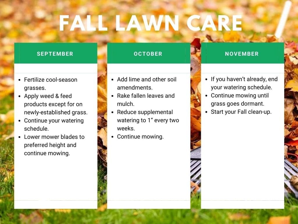 Fall Lawn Care