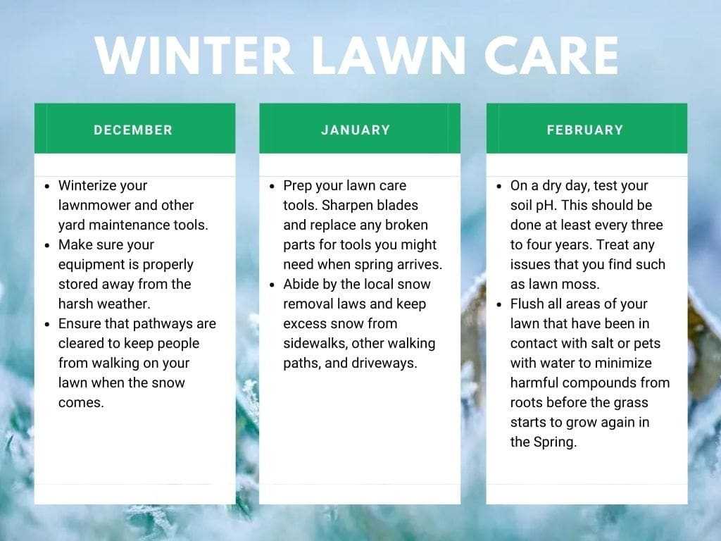 Winter Lawn Care