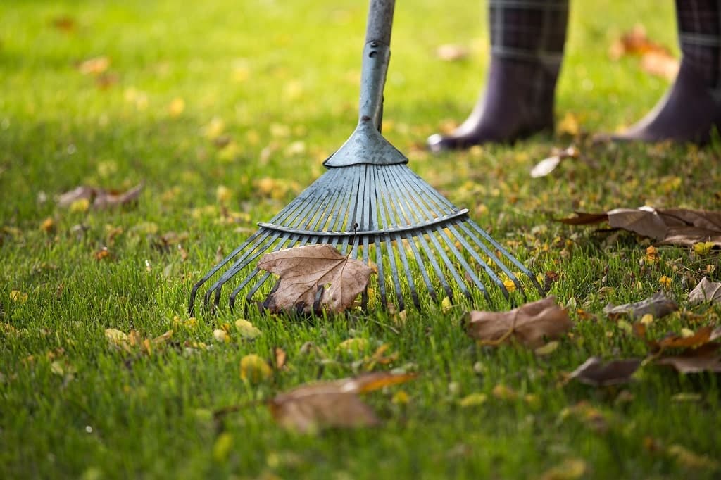 minnesota lawn care schedule