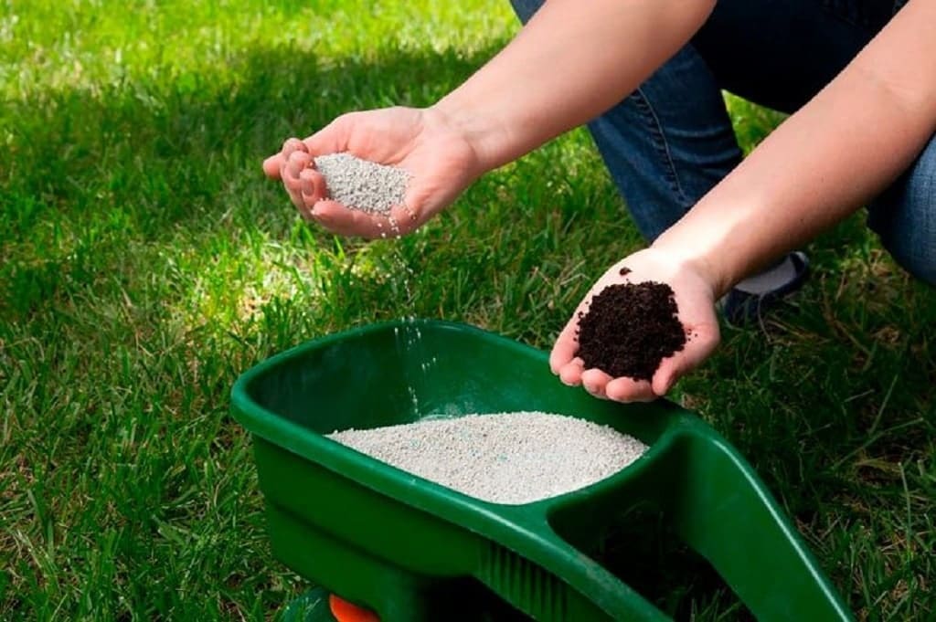 How to Choose Lawn Fertilizer