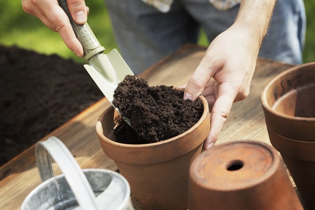 organic compost