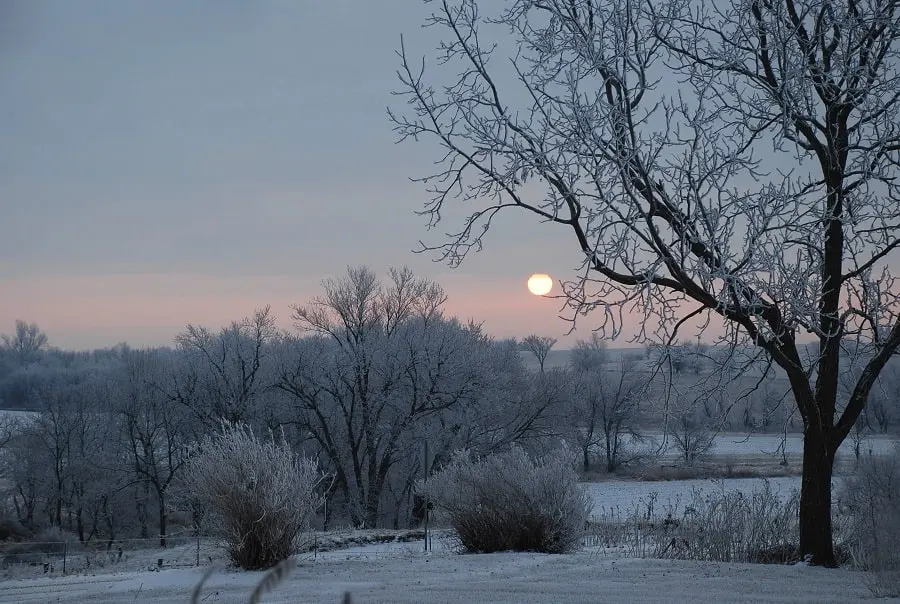 ️ Winter Forecast for Iowa 2023-2024: How Much Snow to Expect?