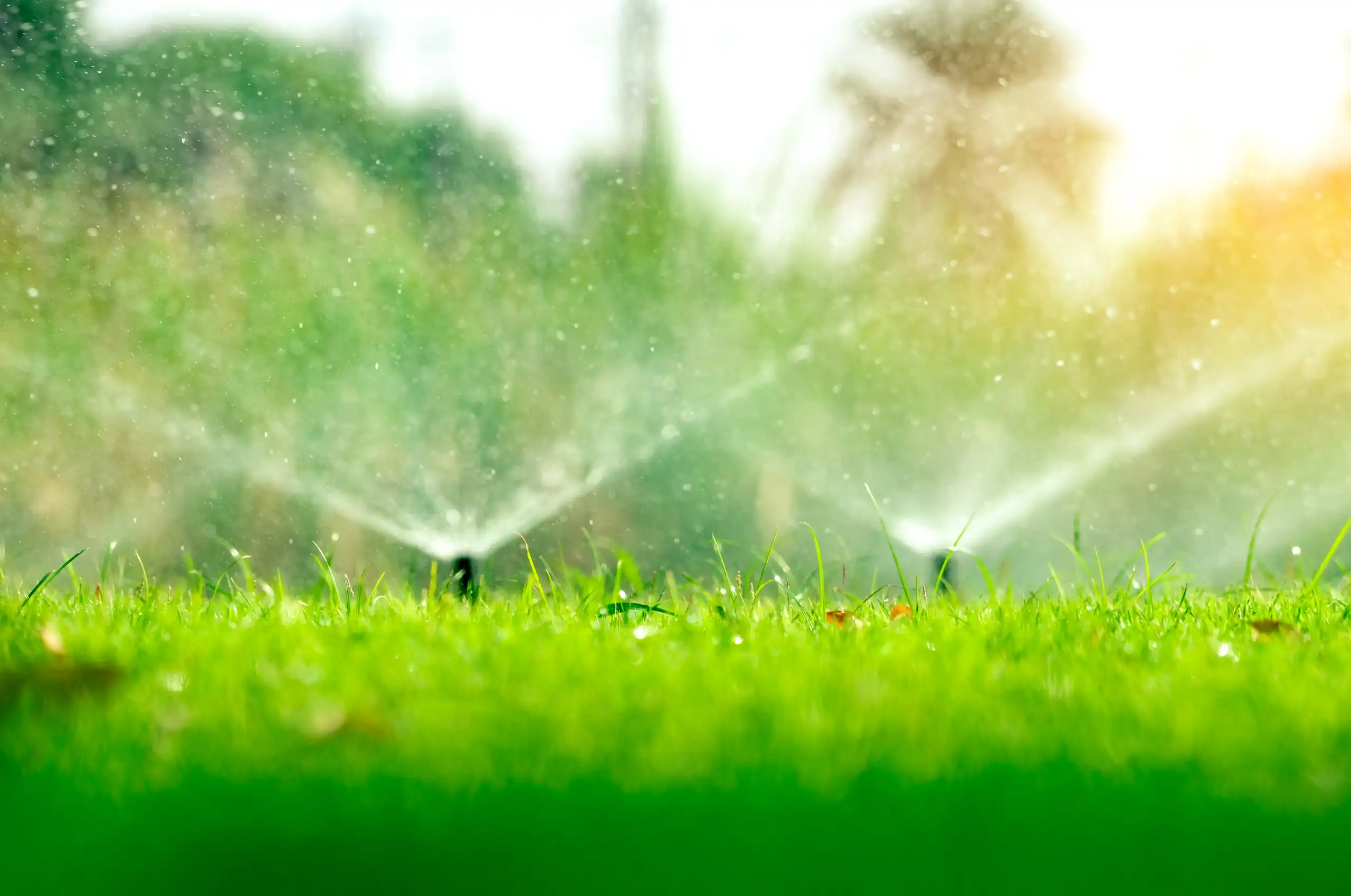 Copy of Irrigation_Sprinkler close-up