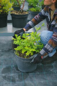 Landscaping fabric can prevent weeds from popping up unwanted in garden beds.